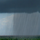 Light rain, Mist, Overcast